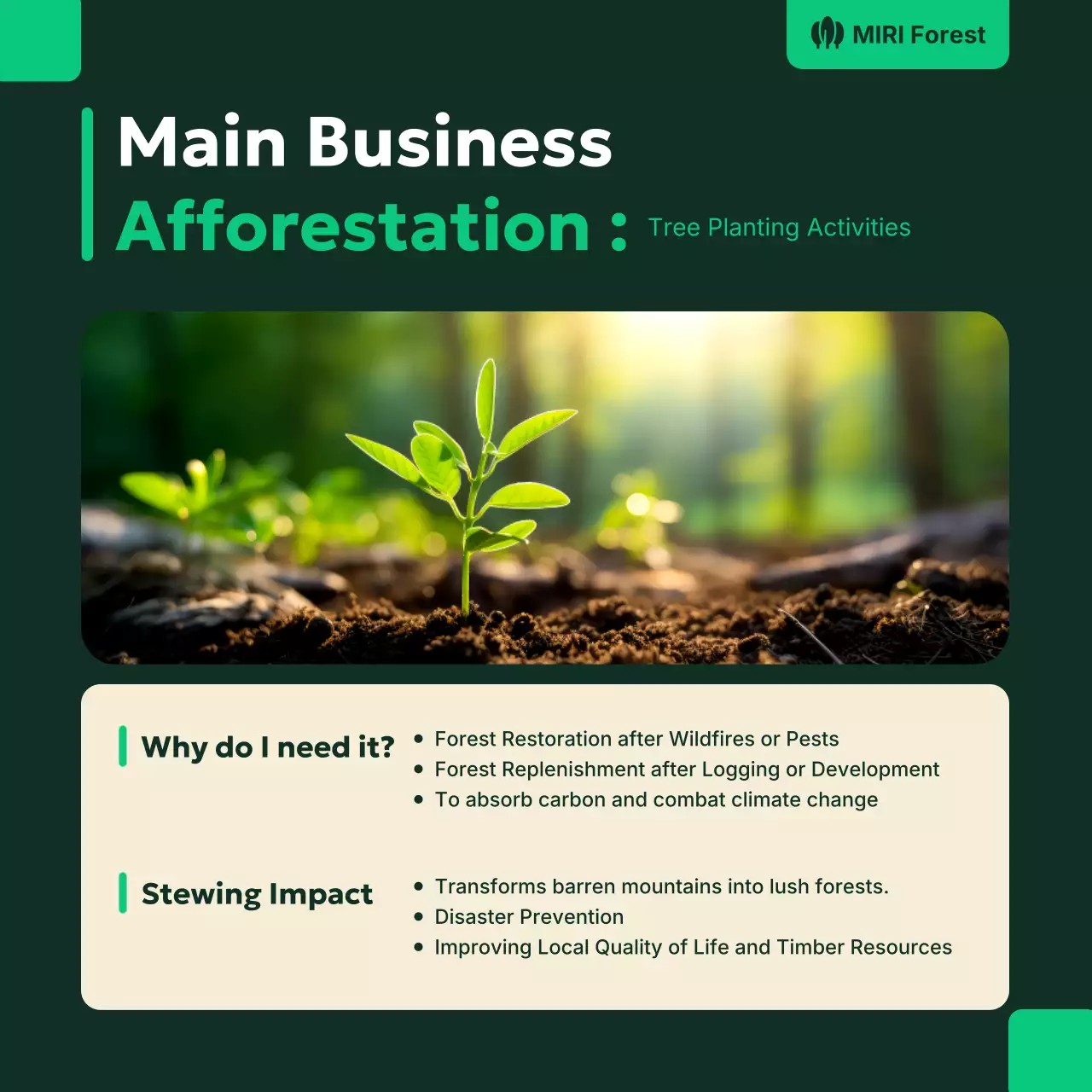 green modern forest promotion