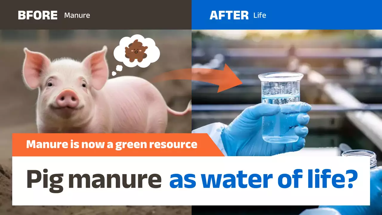 blue modern sustainability promotion