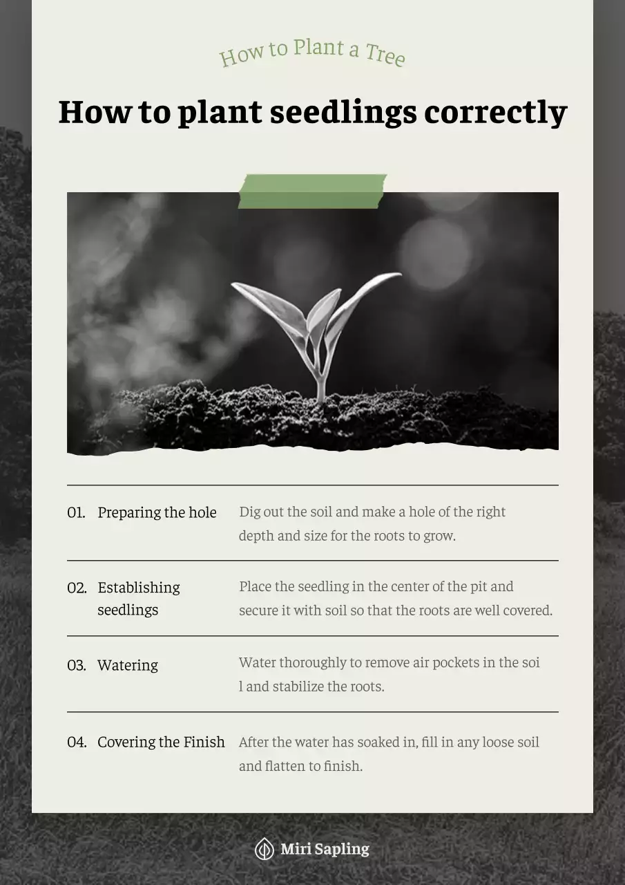 Mô tả làm vườn đơn giản màu be