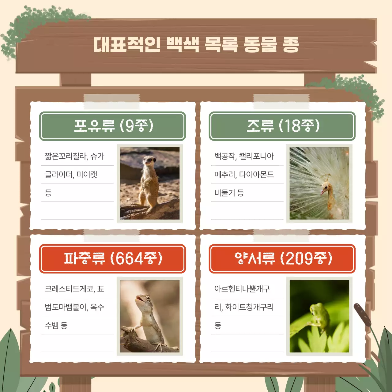 베이지 심플 생태 보호 안내