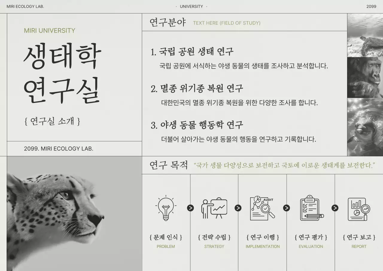 회색 심플 생태학 연구 소개