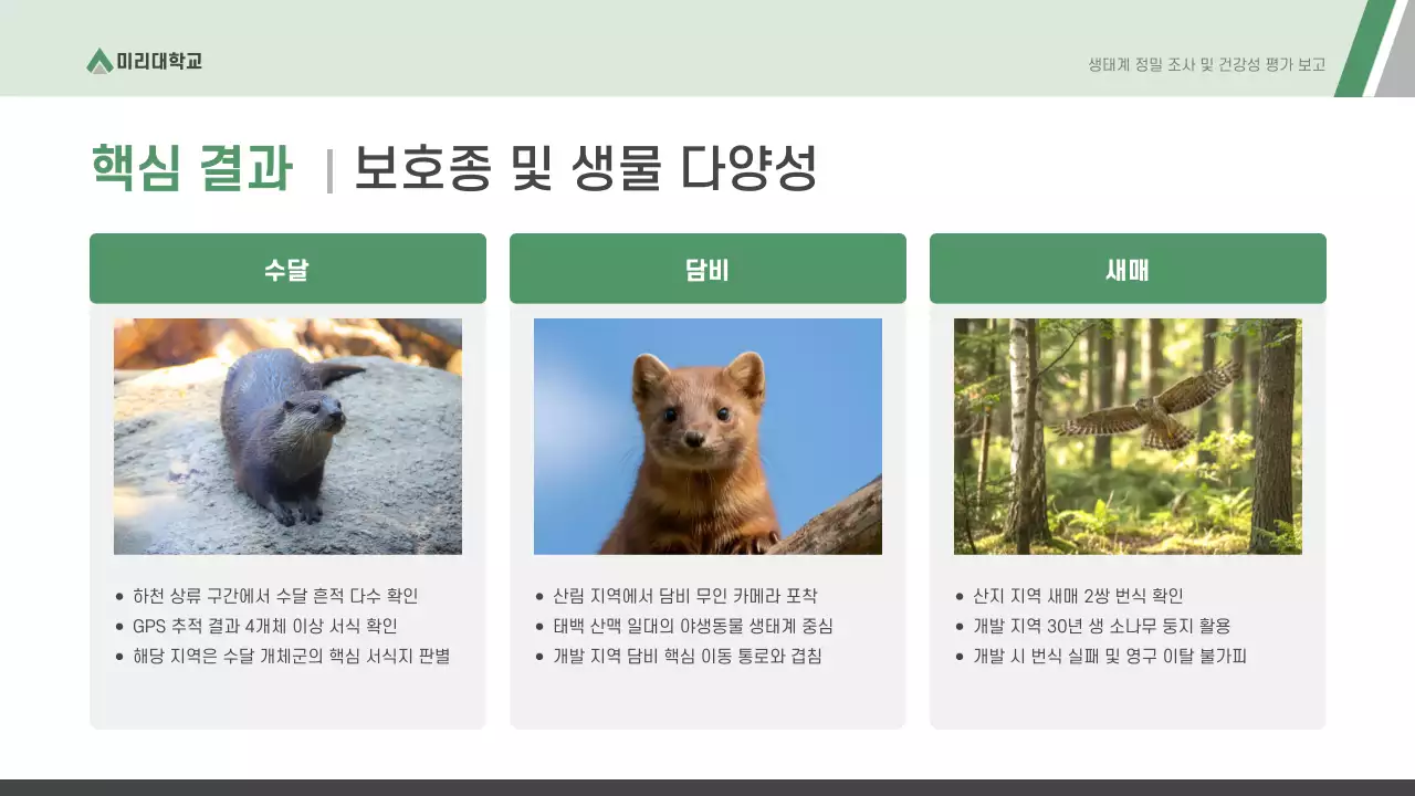 회색 모던 환경 보고서