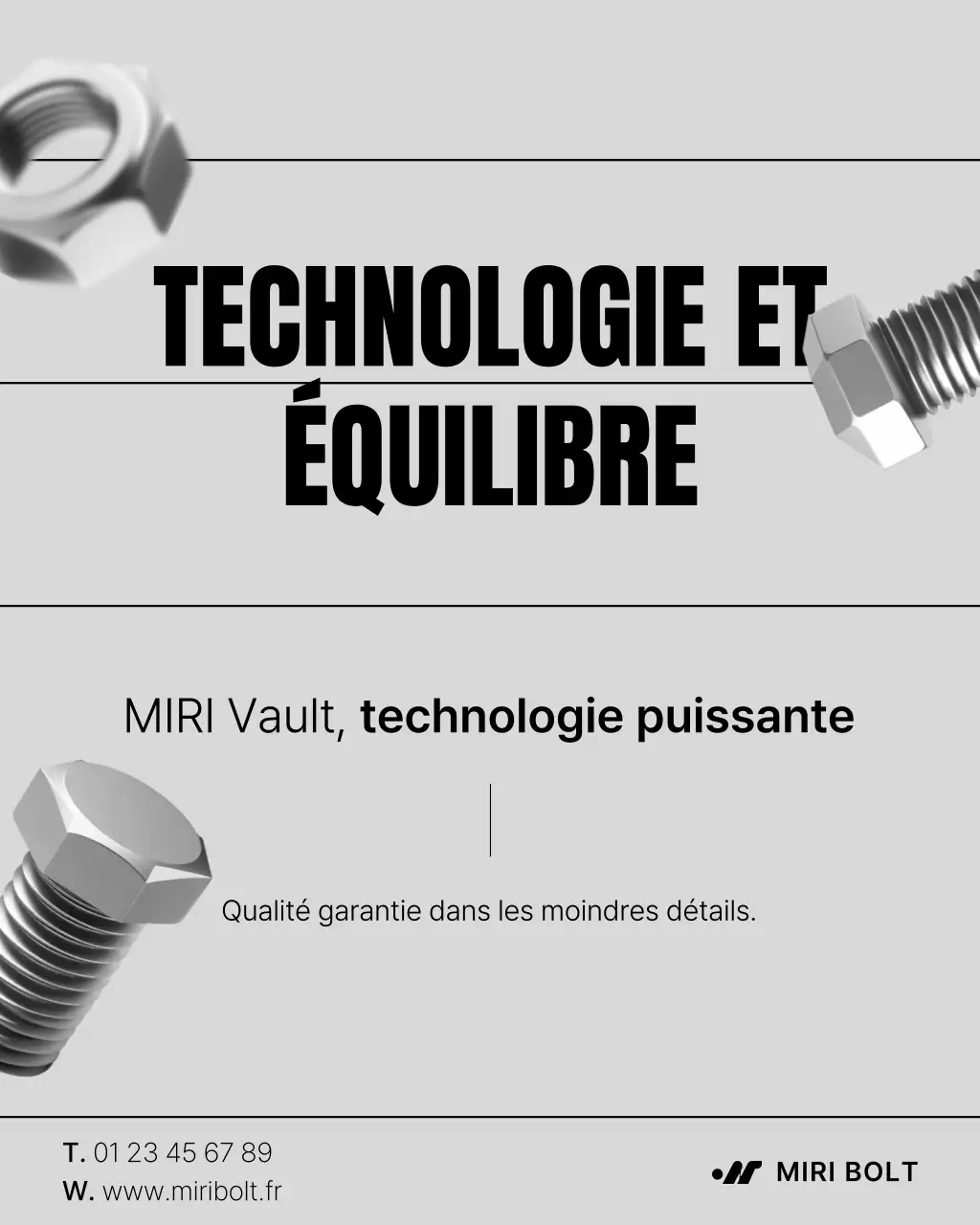 Promotion des boulons et écrous simples gris