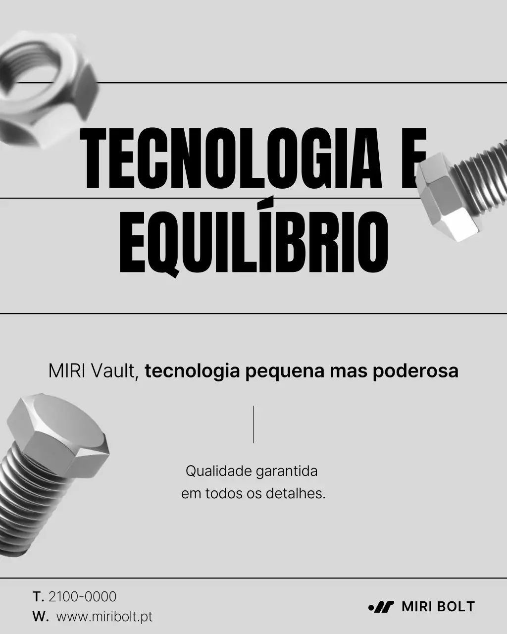 Promoção de Parafuso e Porca Simples Cinza