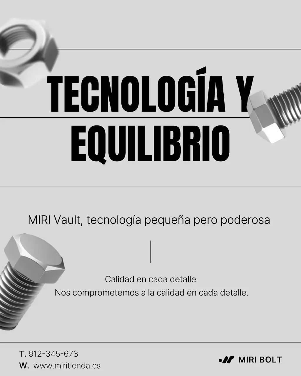 Promoción de tuercas y pernos simples grises