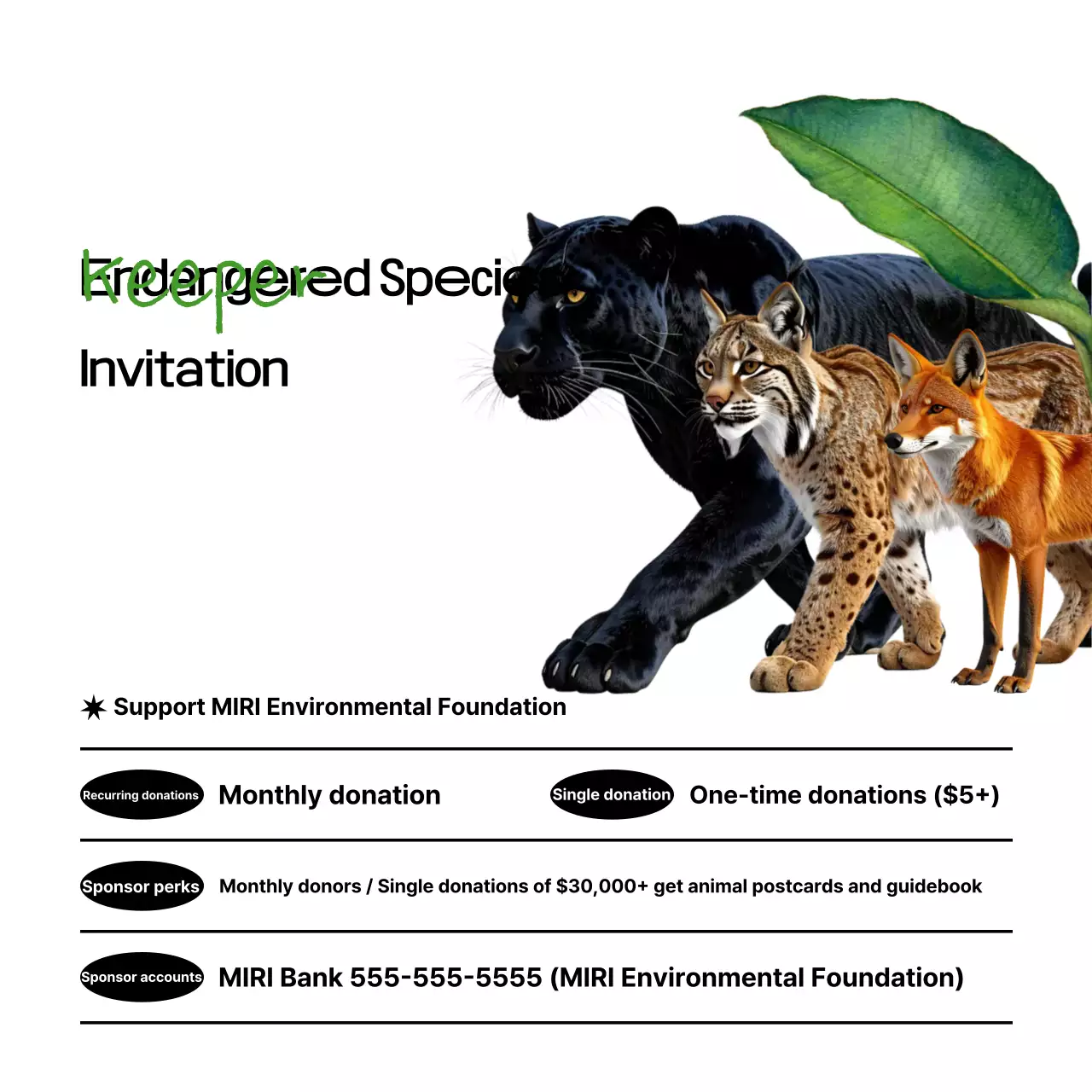 Chiến dịch bảo vệ môi trường đơn giản của Black