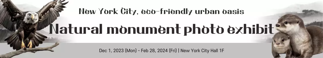 Guia para a Exposição Gray Nature