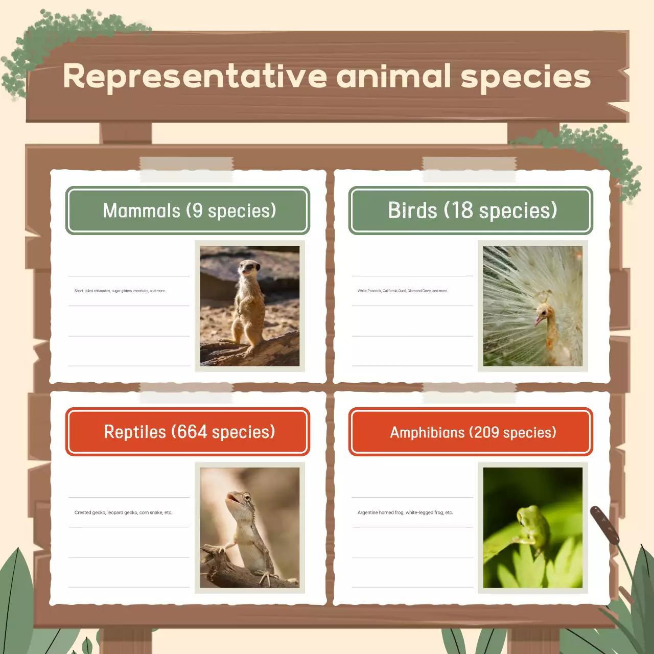 Beige Simple Ecological Protection Guide