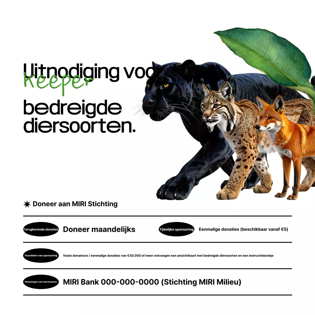 Zwarte Eenvoudige Milieubeschermingscampagne