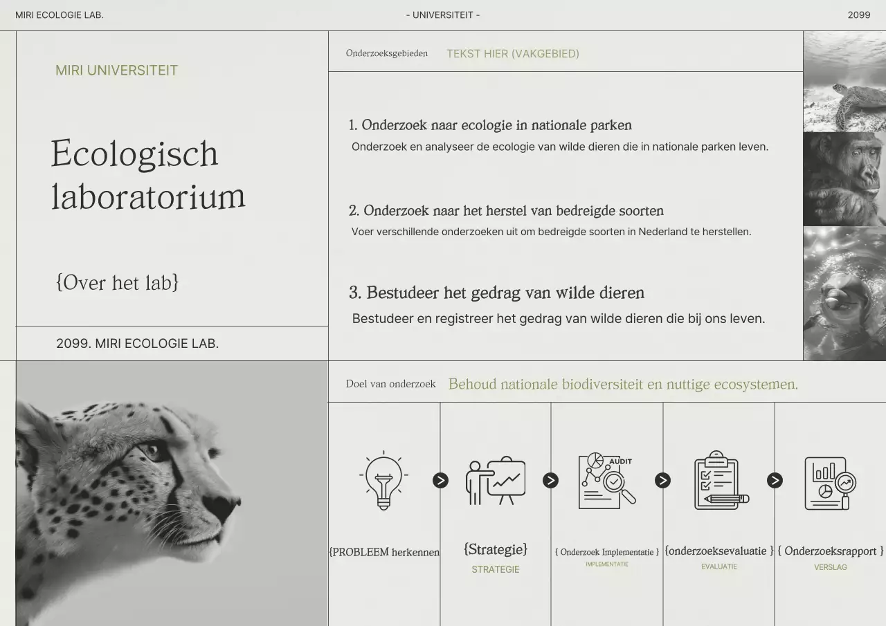 Inleiding tot onderzoek naar grijze eenvoudige ecologie