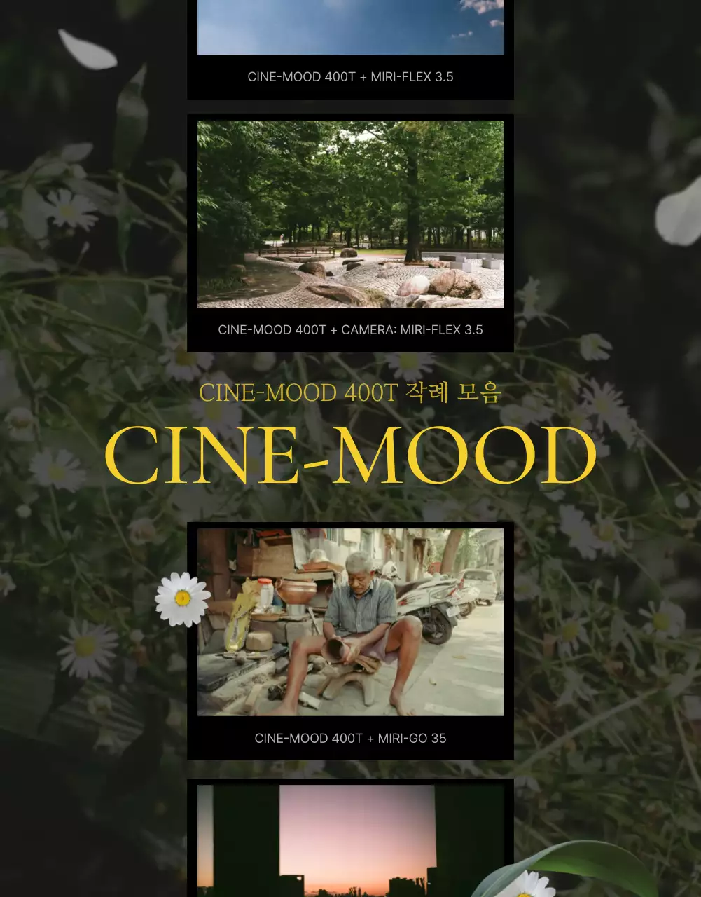 녹색 빈티지 필름 광고