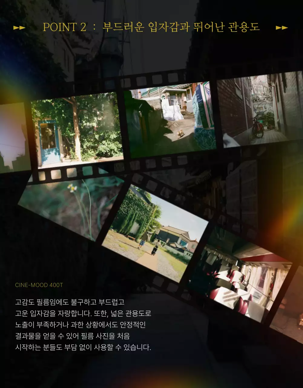 녹색 빈티지 필름 광고