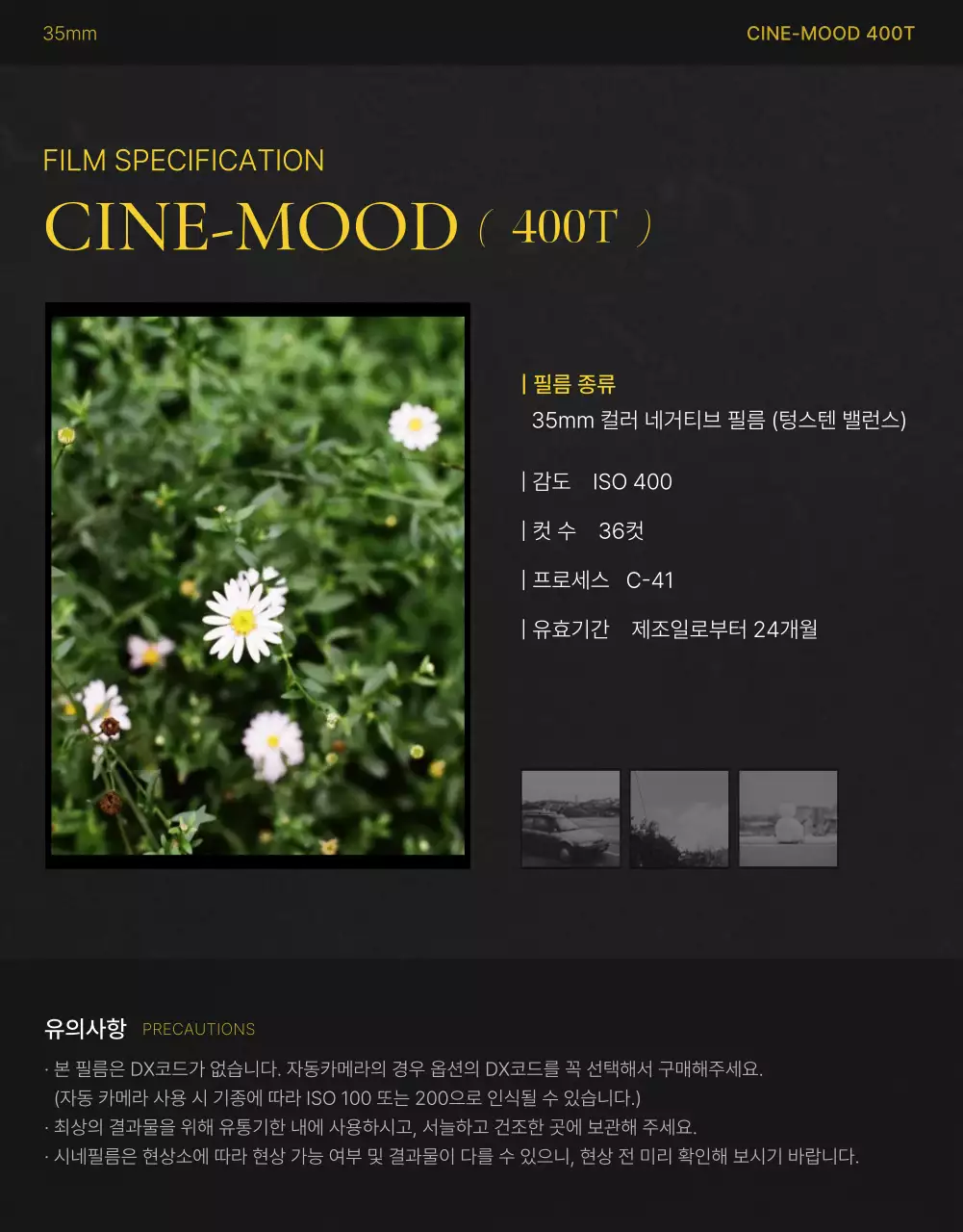 녹색 빈티지 필름 광고