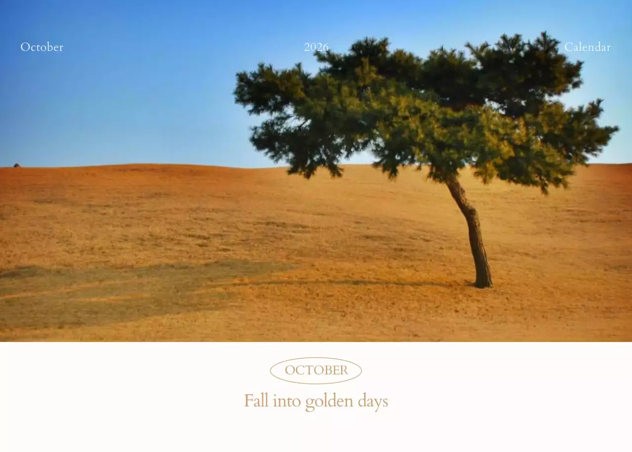 흰색 심플 달력 캘린더