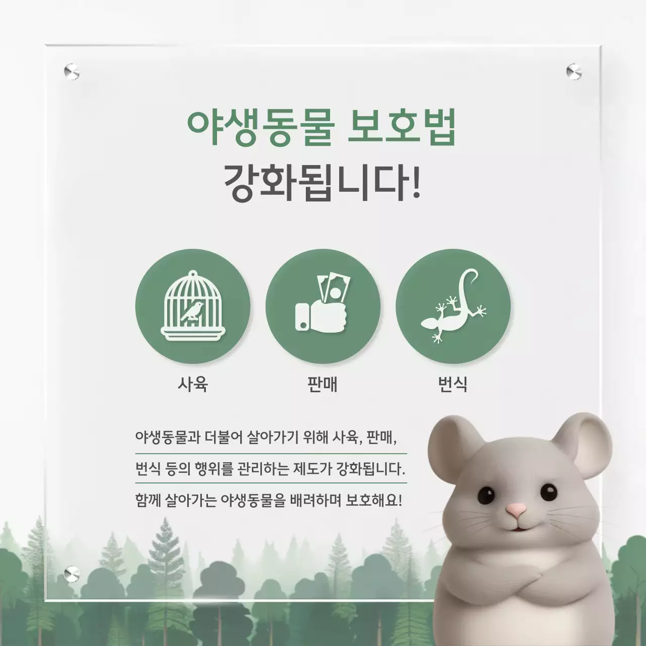 초록 깔끔 환경 정책 안내