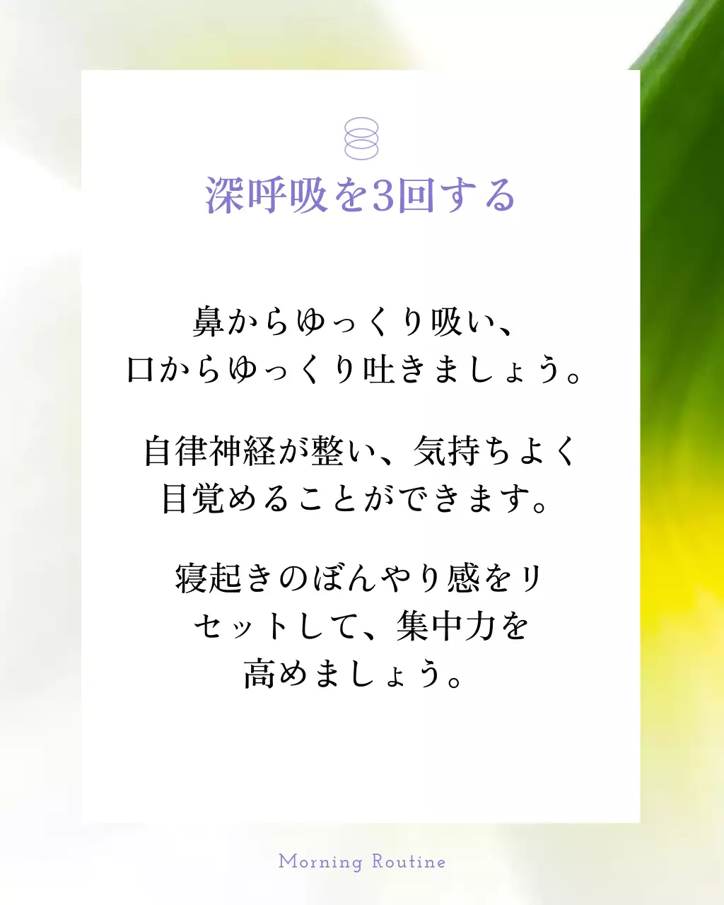 ピンク シンプル ライフスタイル サムネイル