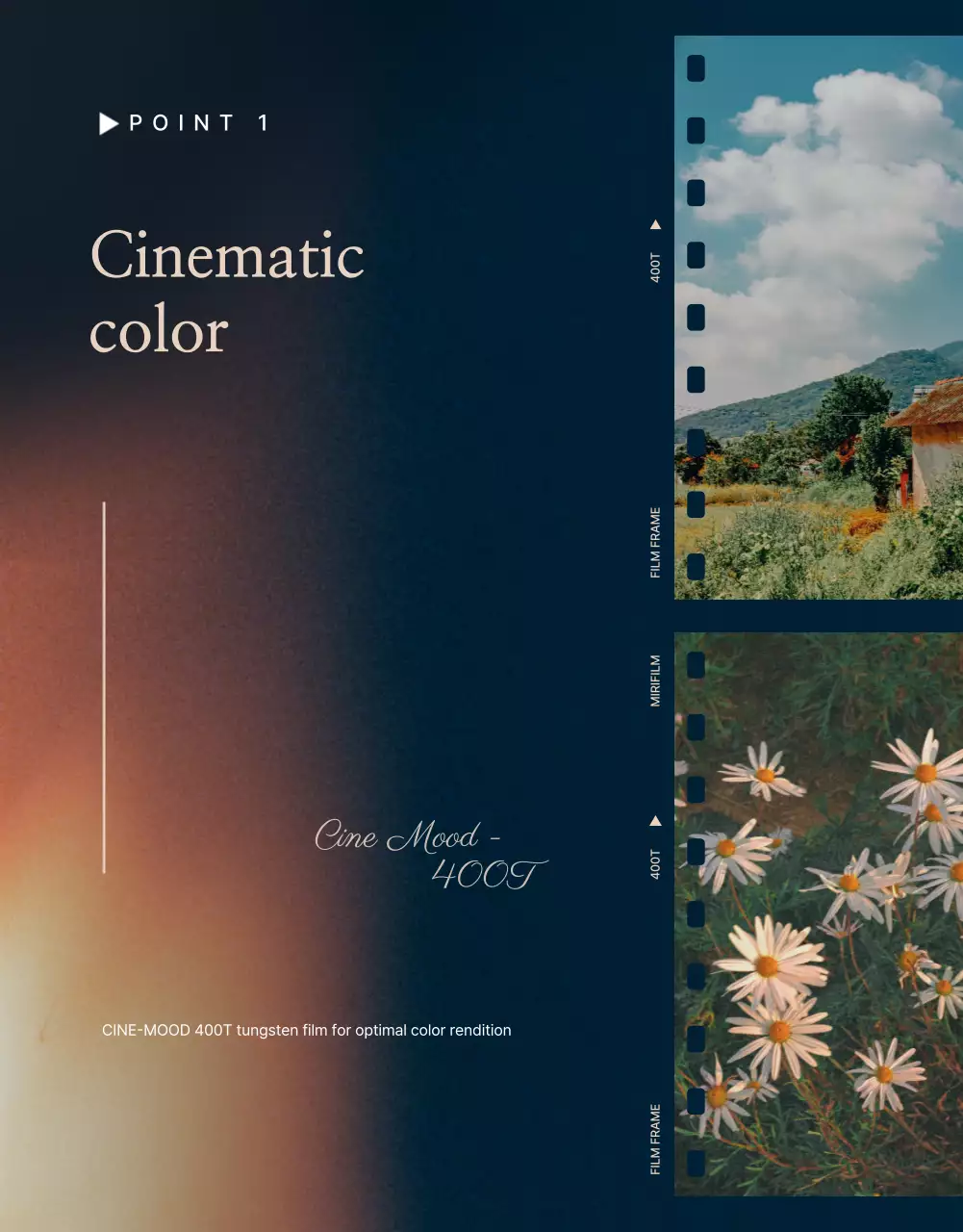 Navy Vintage Camera Ad