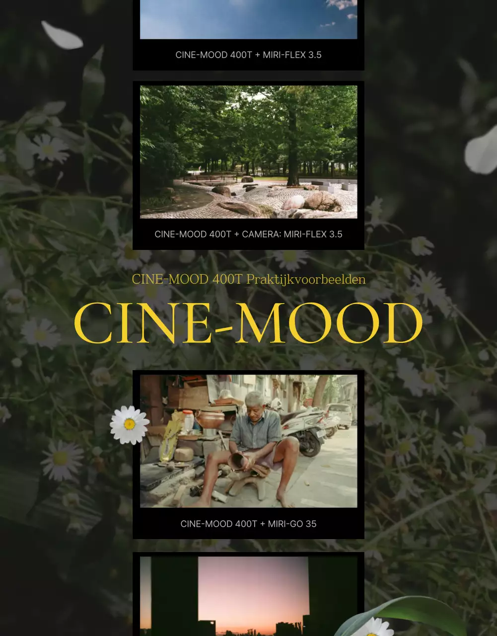 Groene vintage filmreclame