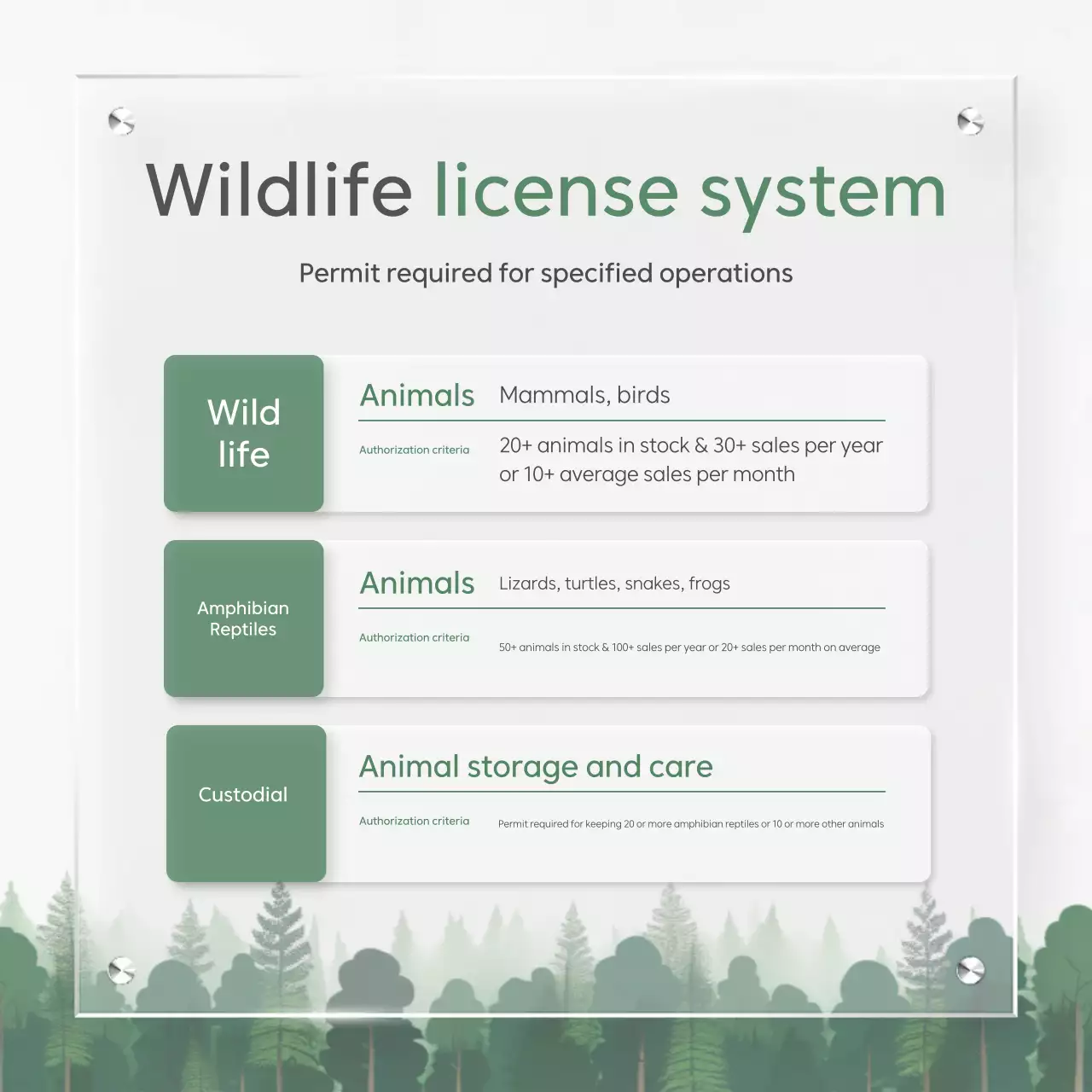 Green Clean Environment Policy Guide