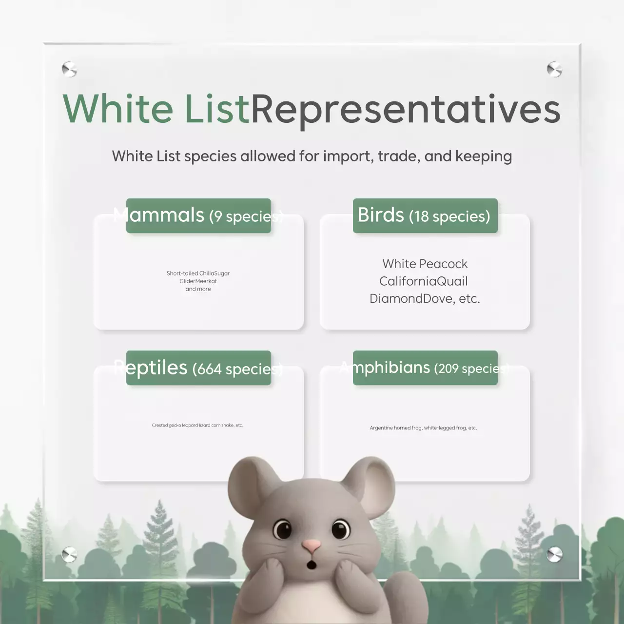 Green Clean Environment Policy Guide