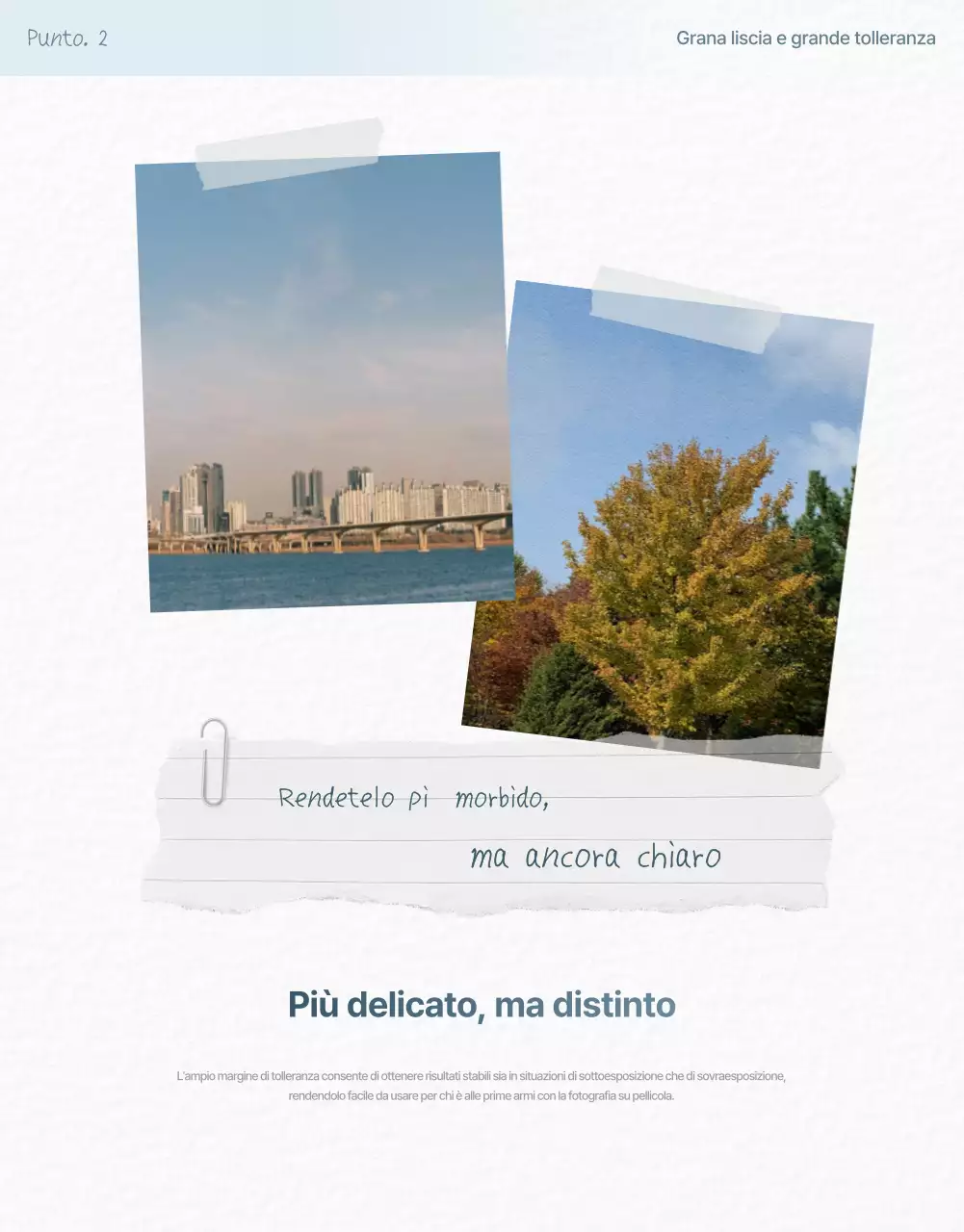 Pubblicità di pellicola minimale beige