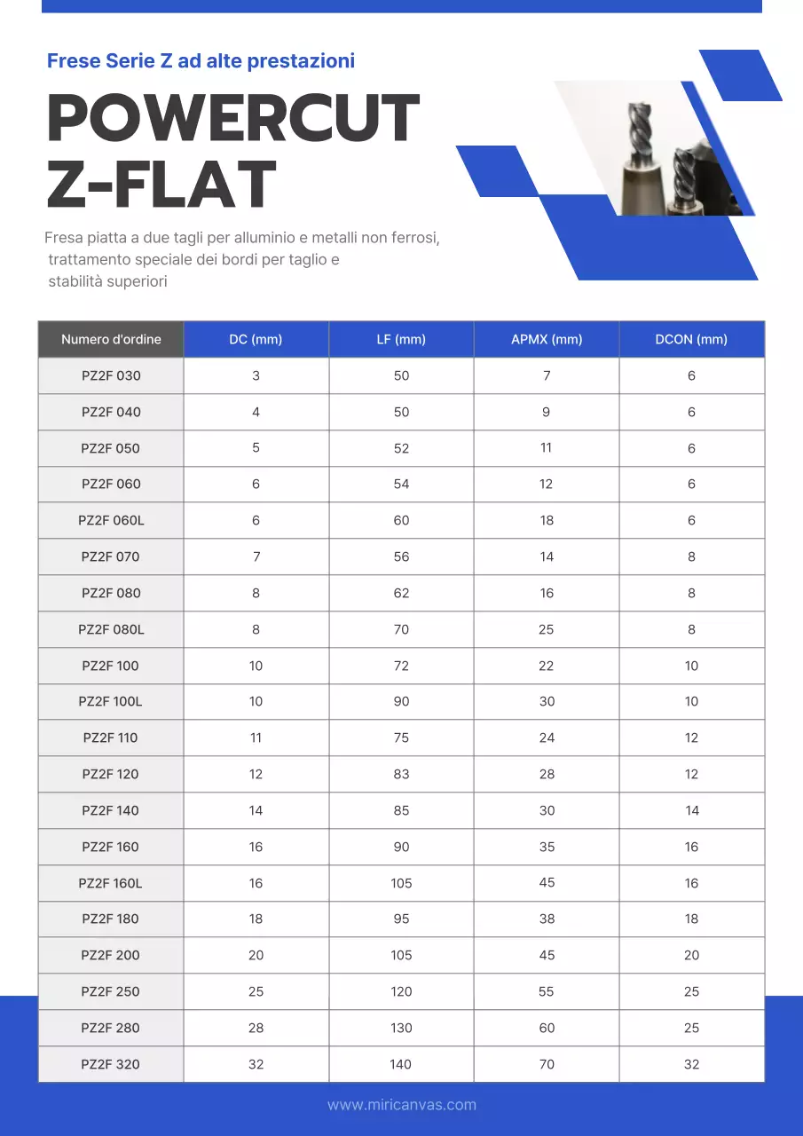 Manuale Blue Neat Tool