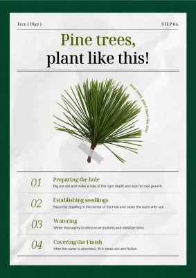 Green Simple Plant Educational Materials