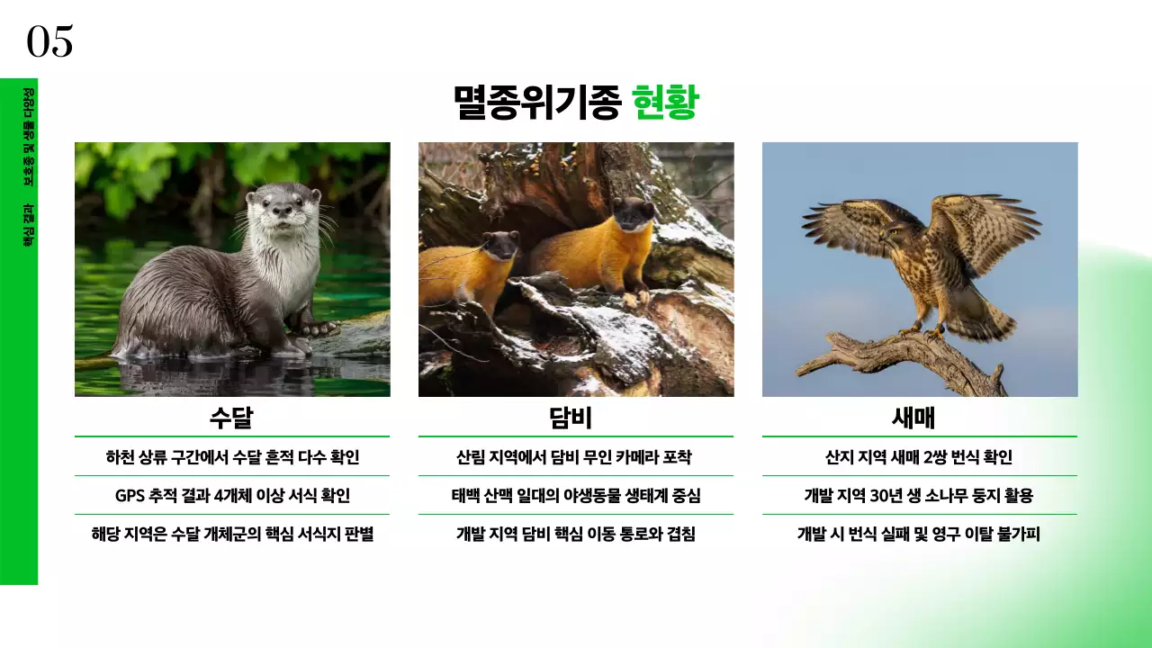 초록 심플 환경 보고서