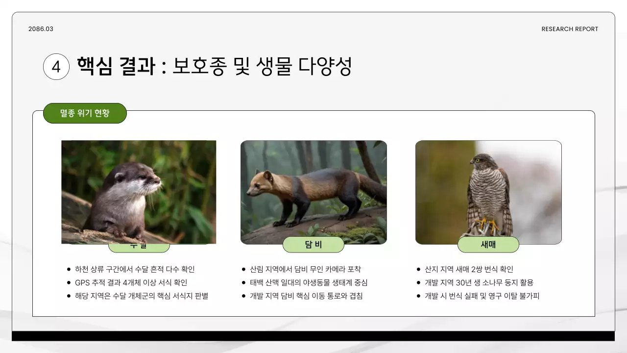 초록 깔끔 환경 연구 보고서