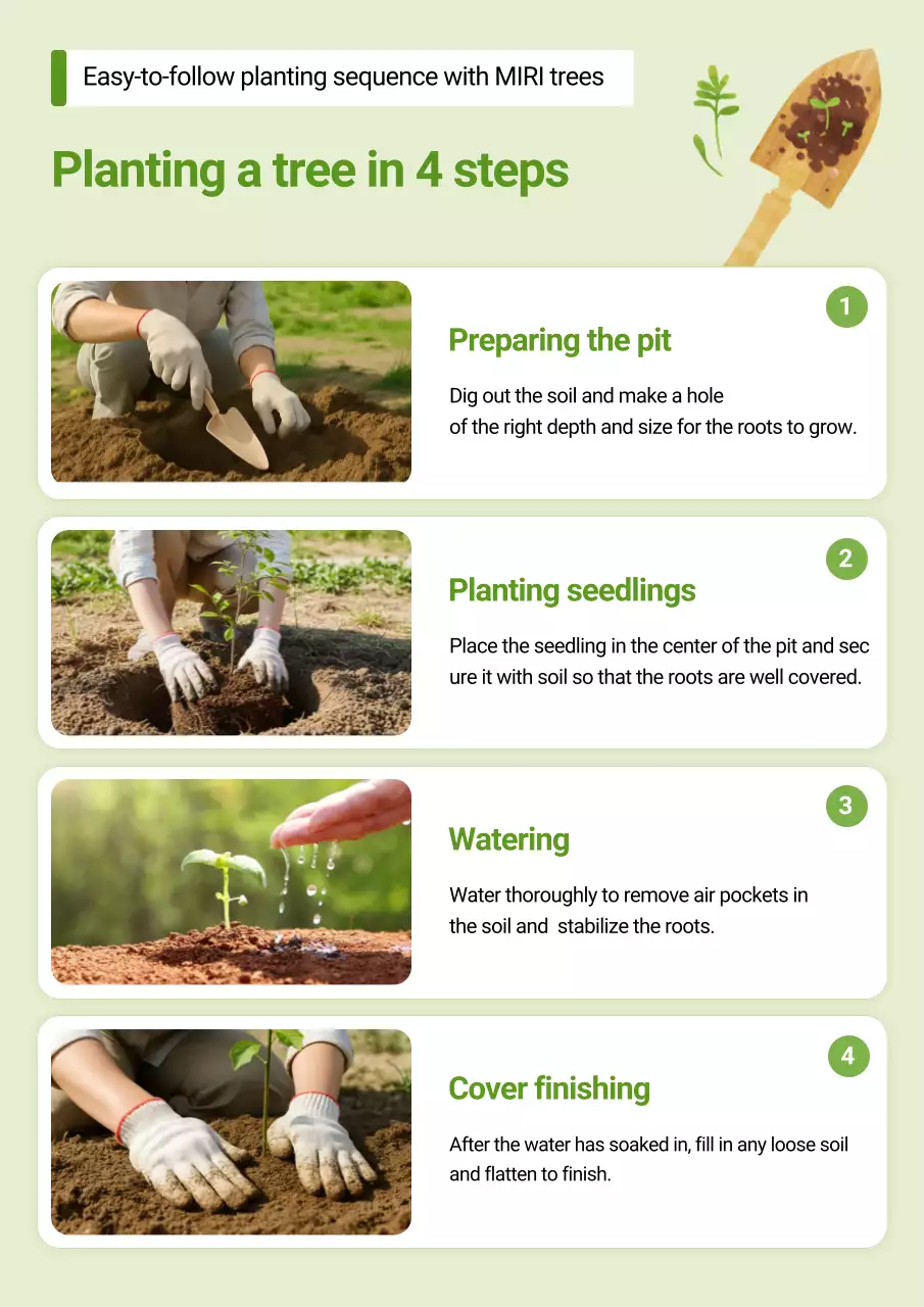 panduan penanaman hijau sederhana