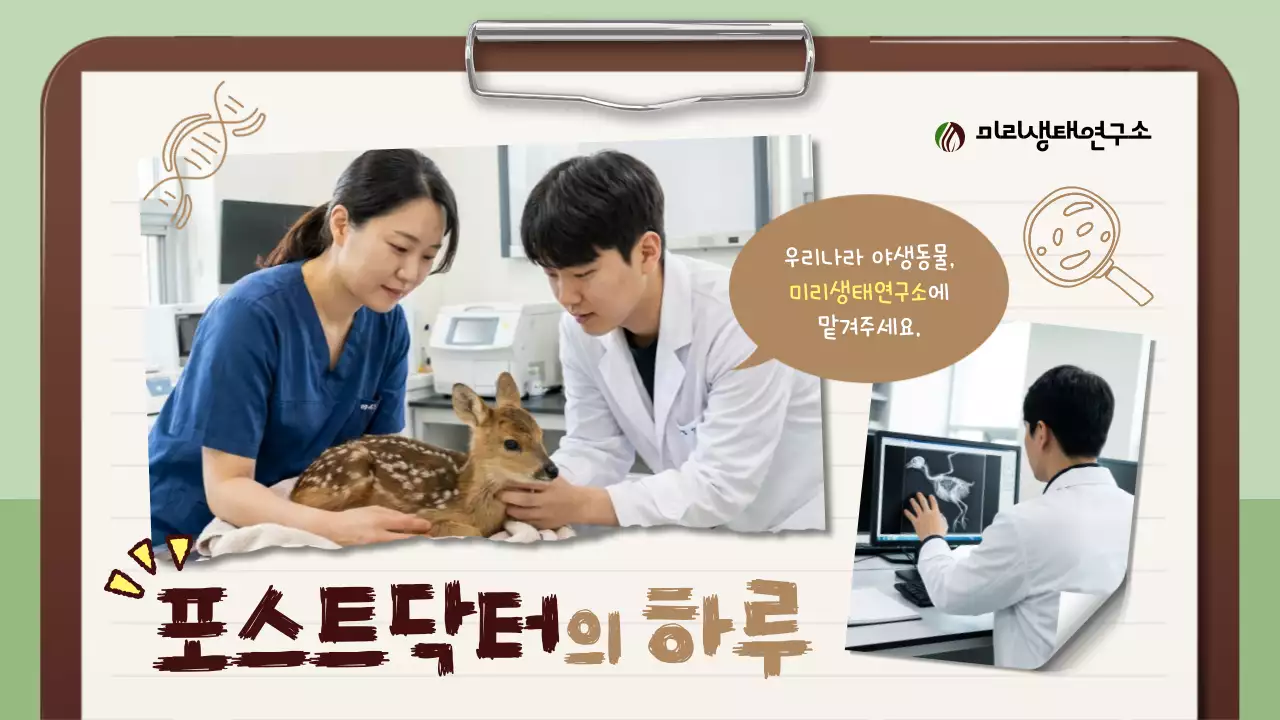 민트 심플 생태 연구 홍보