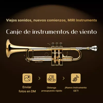 Anuncio de instrumento musical moderno de color marrón