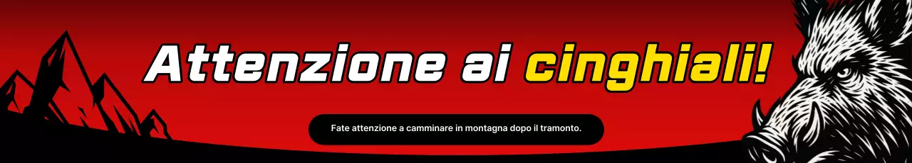 Istruzioni di sicurezza Red Retro