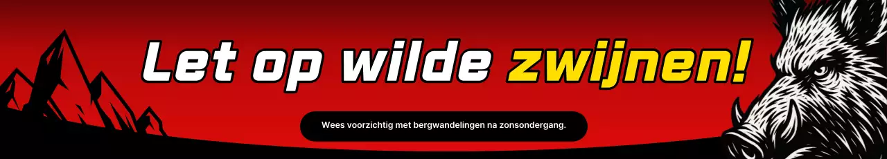 Rode Retro Veiligheidsinstructies