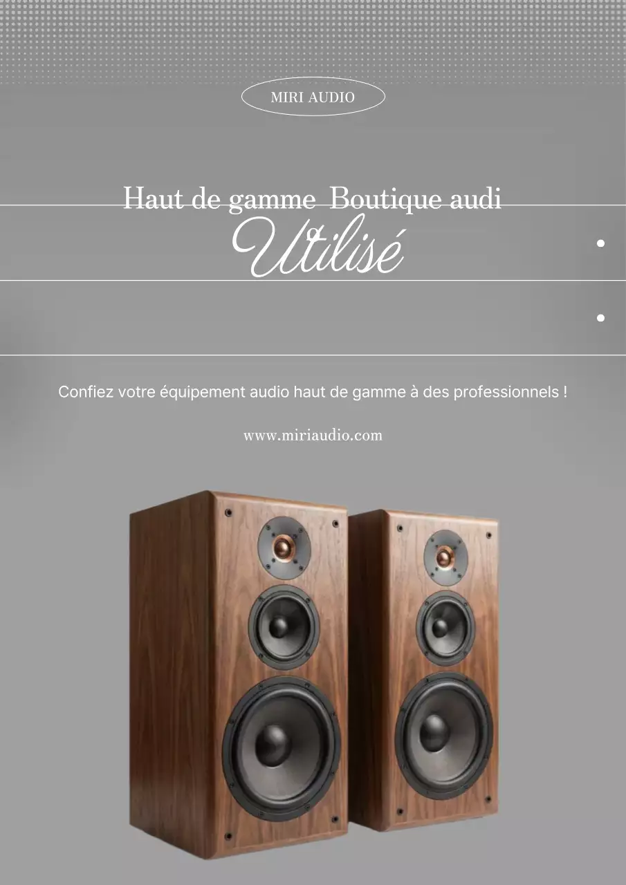 Promotion des ventes audio d'occasion modernes grises