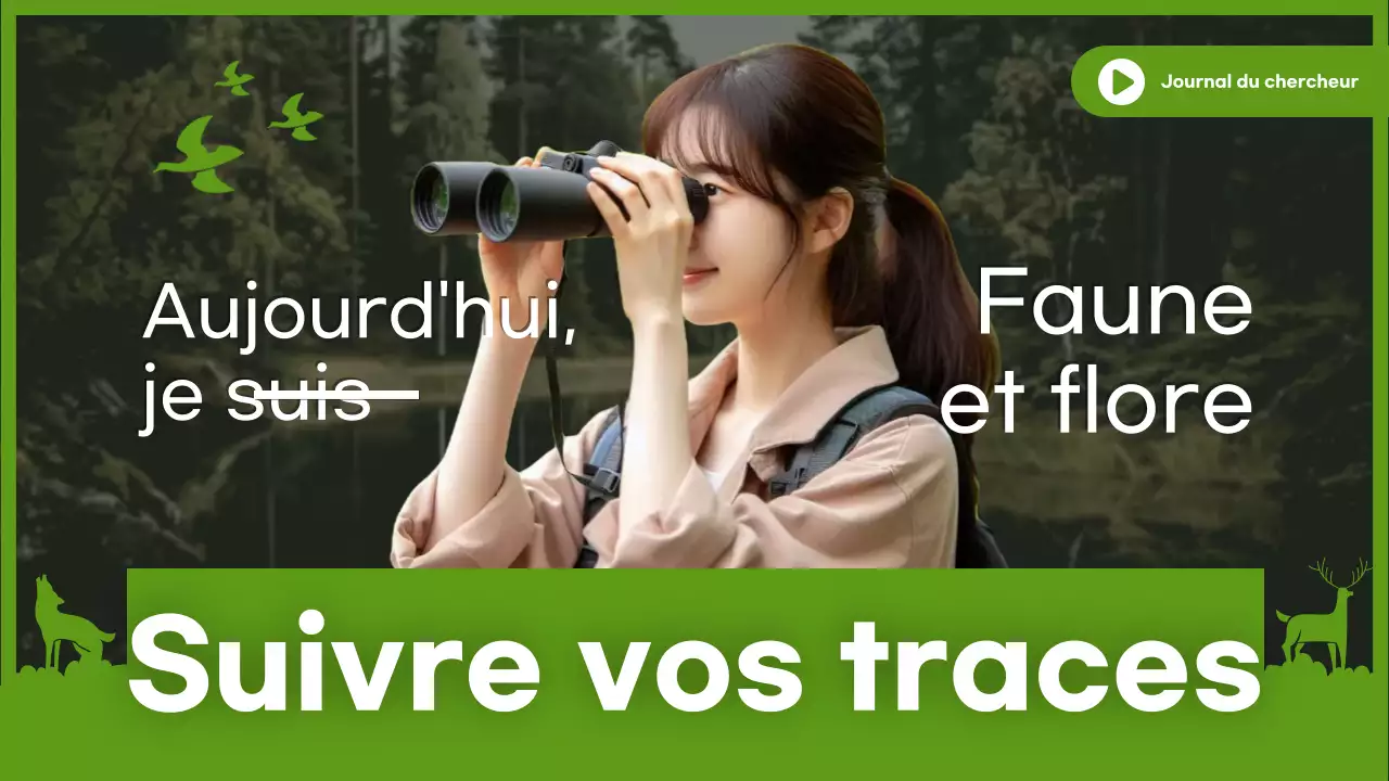 Miniature YouTube de Green Researcher