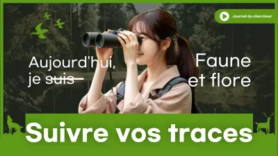 Miniature YouTube de Green Researcher