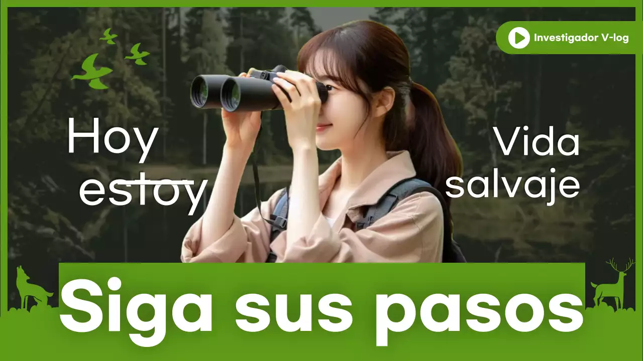 Miniatura de YouTube de Green Researcher