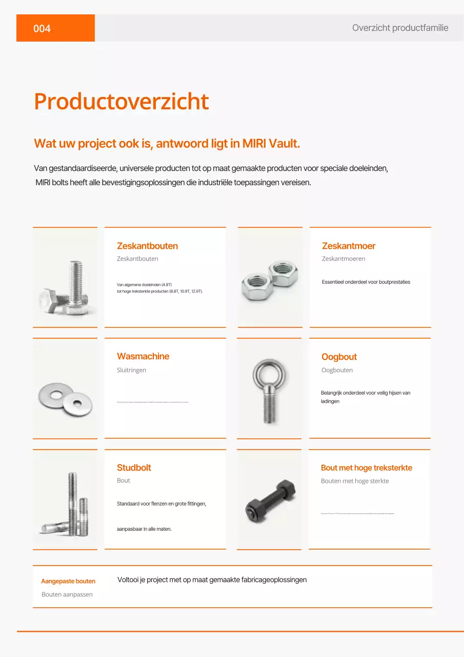 Oranje Eenvoudige Industriële Catalogus