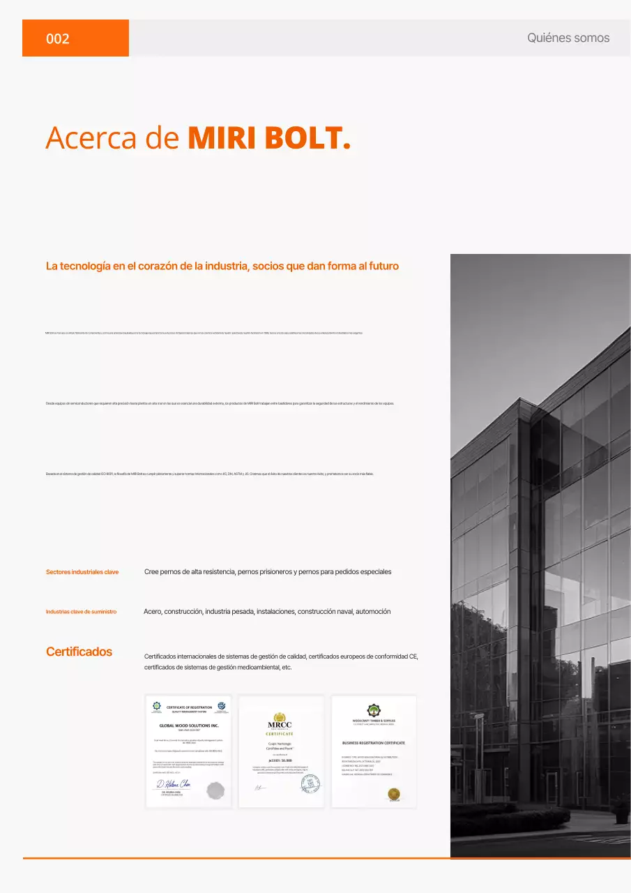 Catálogo Industrial Simple Naranja