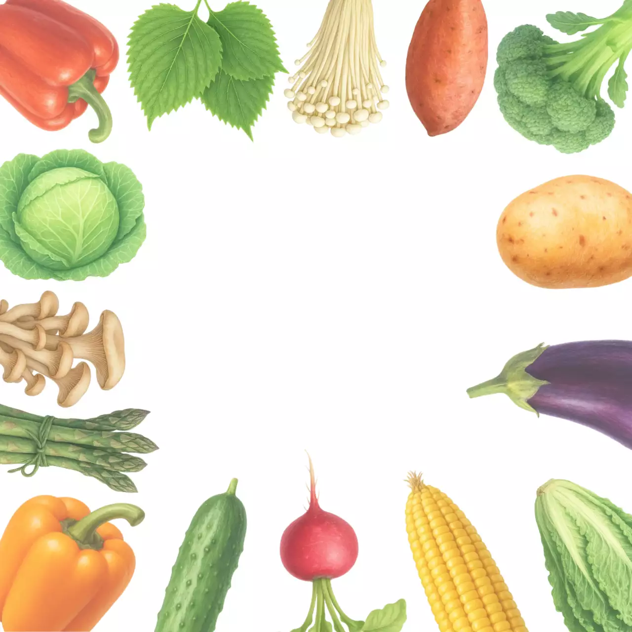 초록 빨강 건강한 먹거리 채소 포토프레임