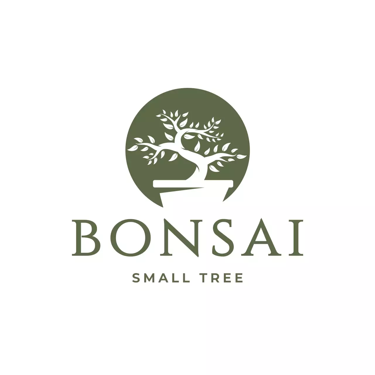 green minimal bonsai tree for brand identity