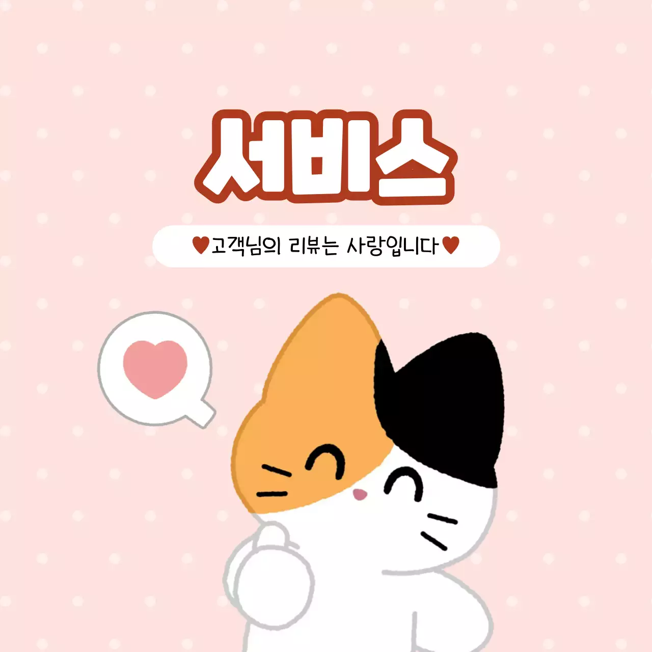 핑크 삼색이 고양이 리뷰 이벤트