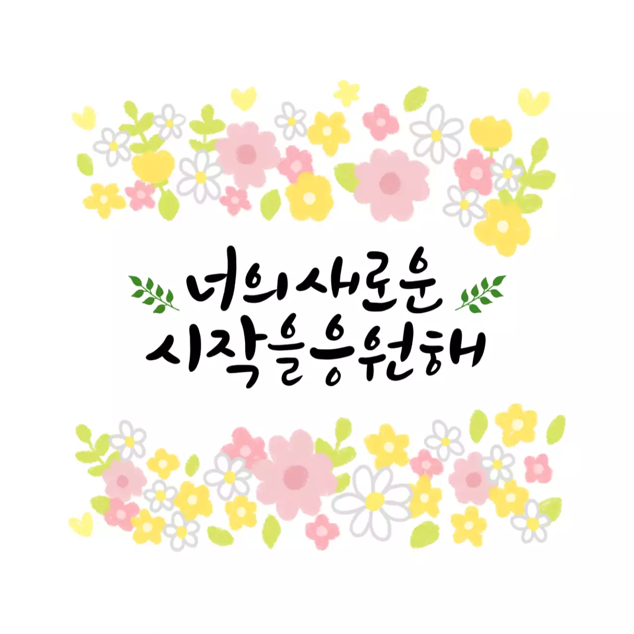 연보라 심플 응원 엽서