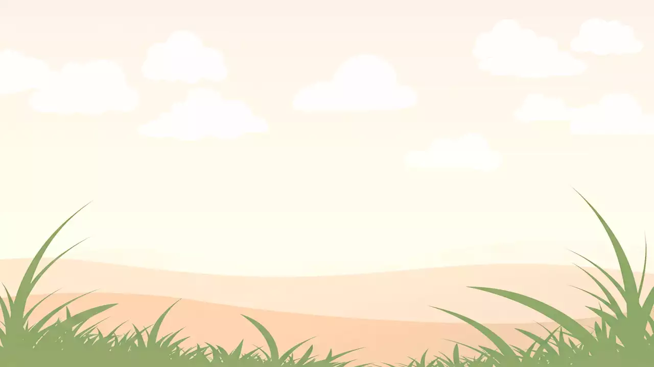 베이지 심플 자연 포토프레임