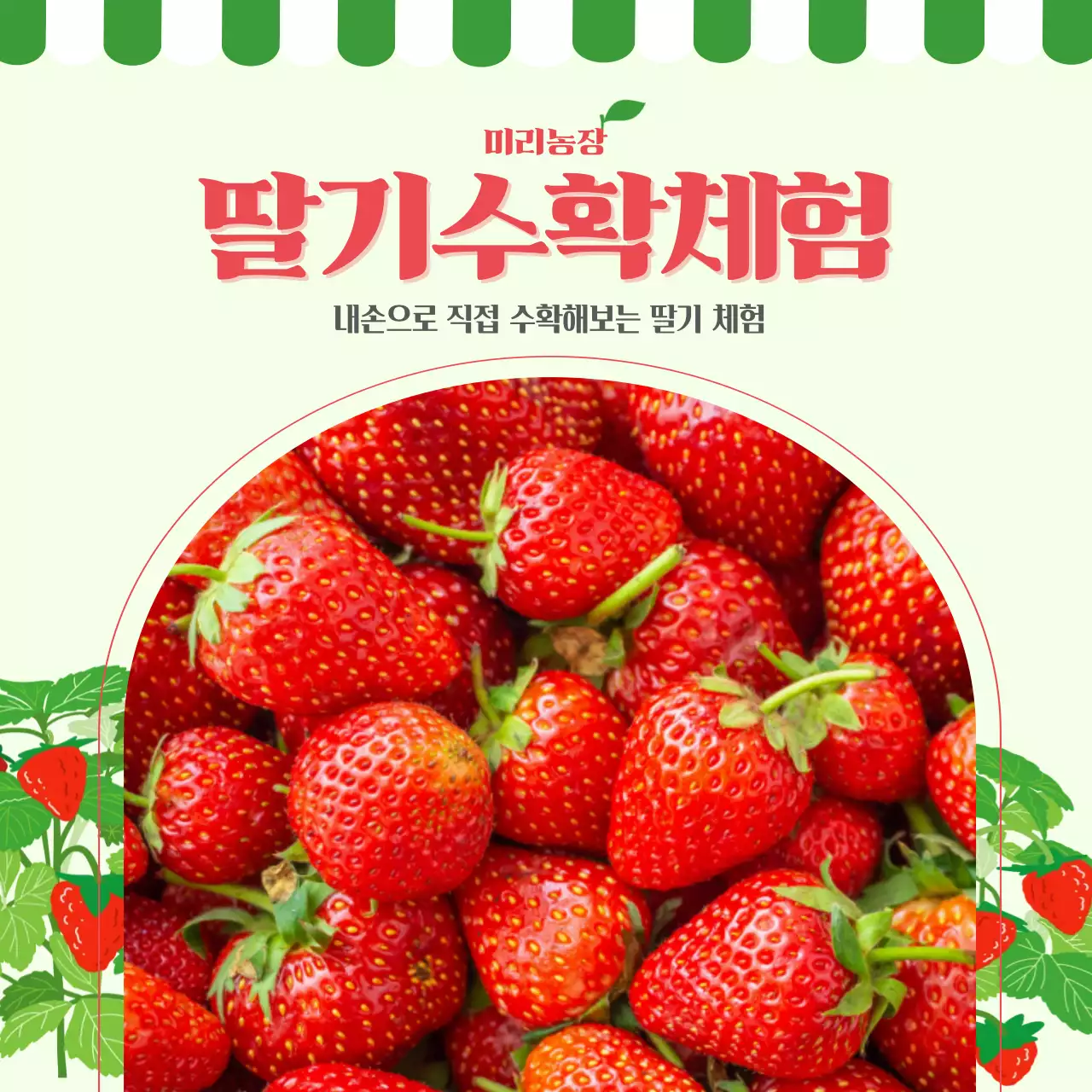 빨강 심플 농장 체험 모집