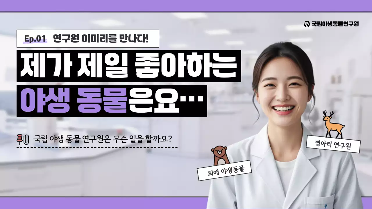 보라의 심플한 야생동물 연구원 안내