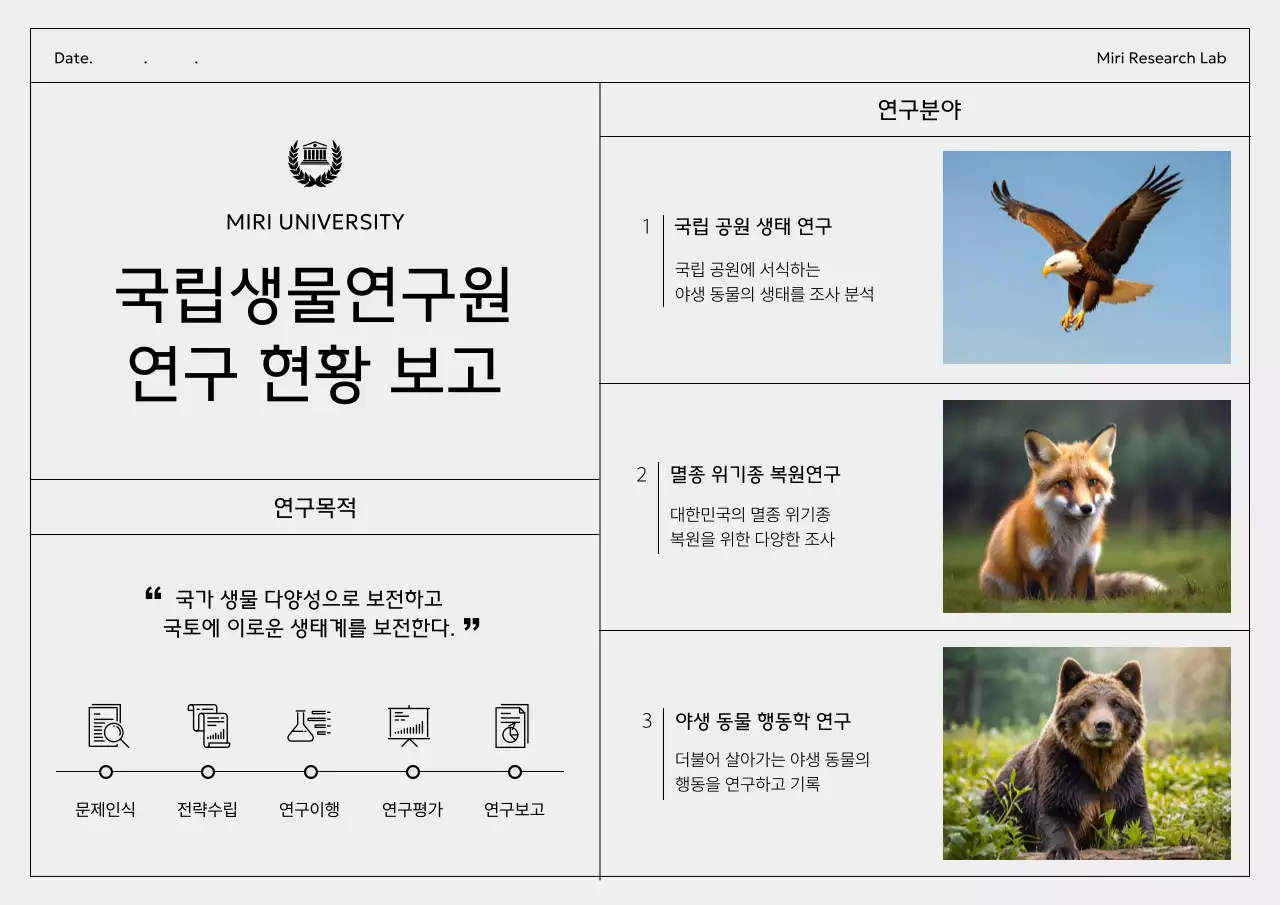 회색 깔끔 생물학 연구 보고서