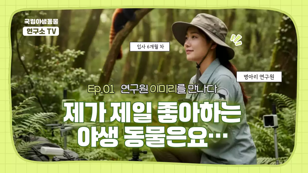 연두의 아기자기한 야생동물 연구원 홍보