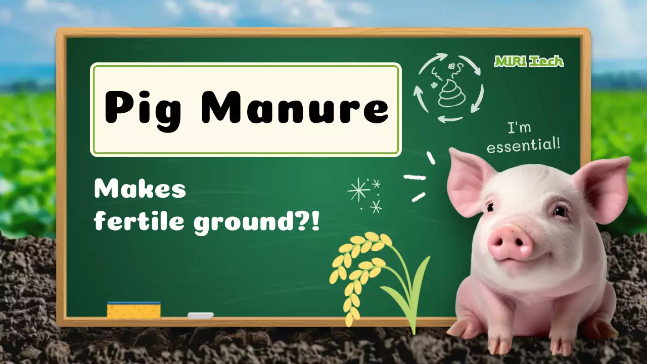 green rustic agriculture information